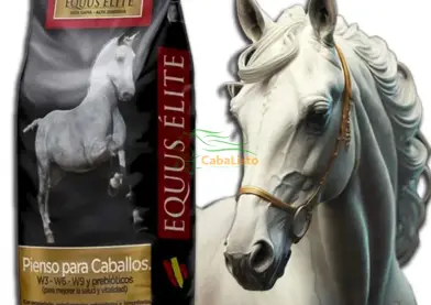 Pienso alta gama equus elite